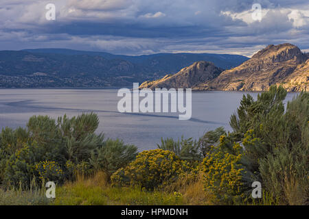 Lago Okanagan vicino a Summerland della Columbia britannica in Canada con salvia e fiori in primo piano Foto Stock