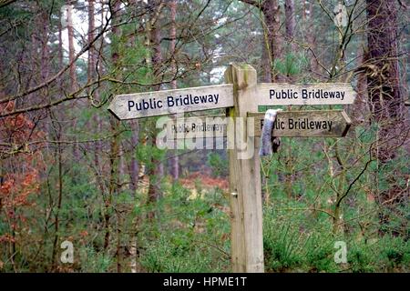 A quattro vie bridleway pubblica firmare in un bosco Foto Stock