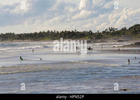 Persone maneggio cavalli, nuotare e fare surf in eco-beach Bali. Foto Stock