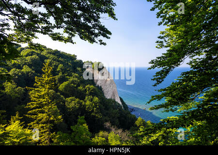 Il famoso Königsstuhl (re della sedia) sull'isola tedesca Rügen Foto Stock