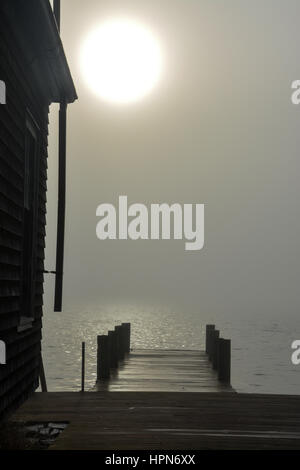 Nebbia di mattina in riva al mare Foto Stock