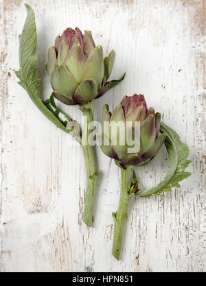 Due violetta carciofi in distressed sfondo di legno Foto Stock
