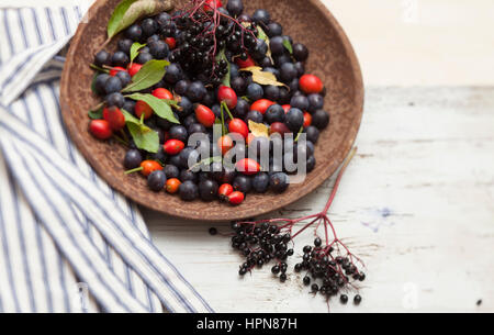 British siepe autunno la frutta in distressed Sfondo legno Foto Stock