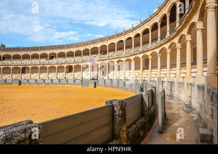 La corrida anello in Ronda, provincia di Malaga, Andalusia, Spagna Foto Stock