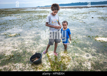 Bambini in cerca di prodotti marini durante la bassa marea sull'isola di Arborek, una piccola isola situata all'interno dell'area marina protetta dello stretto di Dampier. Foto Stock