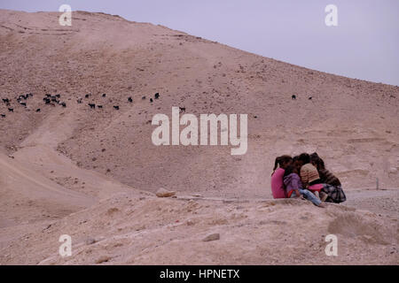 Un gruppo di giovani ragazze beduini della tribù Jahalin comunità nel Judaean o deserto della Giudea della West Bank Israele. Foto Stock