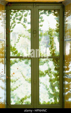 A green window. Foto Stock