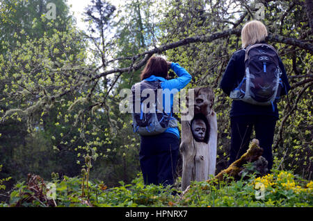 Due le donne che camminano per scattare delle foto di una struttura in legno scultura chiamato l'uomo interiore parte del Frank Bruce Sentiero delle sculture in Inshriach Forest. Foto Stock