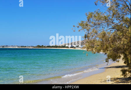 Mikri Vigla beach Naxos Grecia Foto Stock