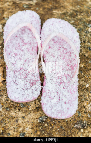 Rosa flip flop coperto in inverno fiocchi di neve Foto Stock