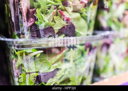 Macro closeup di insalata mista in scatole sul display Foto Stock