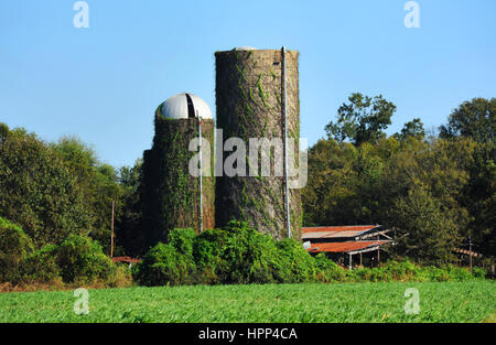 Il vecchio silos e fienile sono invaso dalle erbacce e in disperato bisogno di riparazioni. Agriturismo è nel nord della Louisiana. Foto Stock