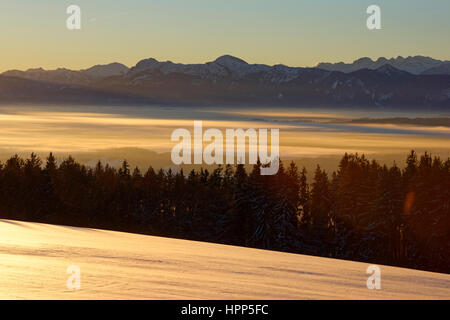 Sunrise in inverno, vista da Hohenpeißenberg con Alpi Ammergau, Pfaffenwinkel regione, Alta Baviera, Baviera, Germania Foto Stock