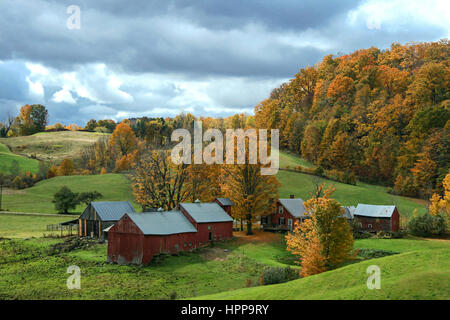 Barns in Vermont in the Fall Foto Stock
