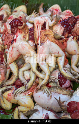 Spellate le rane e le gambe per la vendita in un mercato di Bangkok - cinese rane commestibili (Hoplobatrachus rugulosus) in Khlong Toei Pier, il mercato centrale di Bangkok Foto Stock