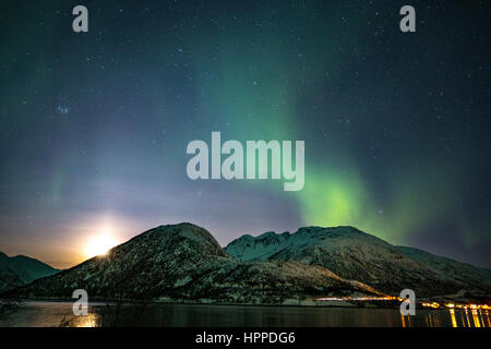 Aurora boreale su isole Lofoten in Norvegia, Europa Foto Stock