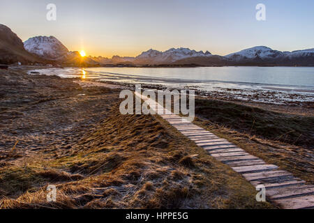 Spiaggia Vicino Vareid village, Isole Lofoten in Norvegia, Europa Foto Stock