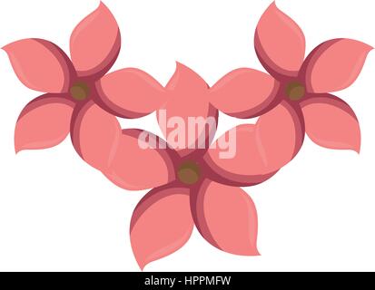 Multicolore di impostare collezione fiore rosa Illustrazione Vettoriale