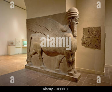 Uomo con testa di toro alato ( lamassu ) ca. 883-859 A.C. nell Iraq del Nord Foto Stock