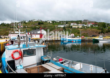 Bay tori, Terranova, Canada Foto Stock