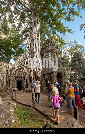 I turisti scattano fotografie di uno degli alberi (Tetrameles nudiflora) al Ta Prohm tempio dove le radici per crescere attraverso e intorno agli edifici. Foto Stock