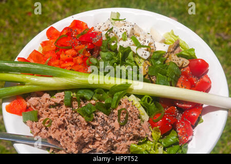 Fresco e goloso insalata di tonno Foto Stock