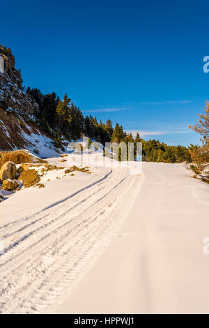 Snow road presso La Ziria montagna con abeti su una giornata invernale, Korinthia, a sud del Peloponneso, Grecia. La Ziria è una delle montagne snowiest in Peloponnes Foto Stock