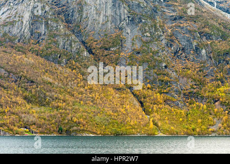 Paesaggio autunnale sulle rive del fiordo Hjørundfjorden, vicino Urke, Norvegia. Foto Stock