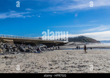 North Torrey Pines bridge a sud di North Torrey Pines Road bridge Foto Stock