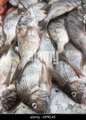 Pila di pesci morti su ghiaccio all'esterno del mercato alimentare nel lavaggio, Queens, a New York City. Mercato di Chinatown con pesce fresco. Foto Stock