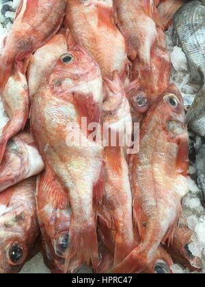 Pila di pesci morti su un letto di ghiaccio con un esterno di mercato asiatico in Chinatown, lavaggio di Queens, a New York, NY. Foto Stock