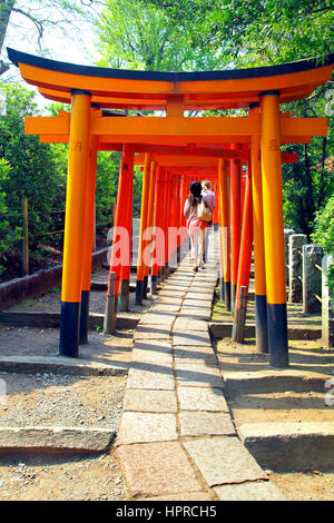 Senbon Torii Gate a Nezu-jinja sacrario scintoista Tokyo Giappone Foto Stock