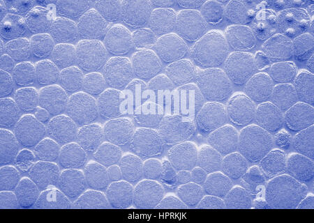 Tonalità di colore vicino la foto del bianco di schiuma di polistirene STYROFOAM texture dello sfondo. Foto Stock