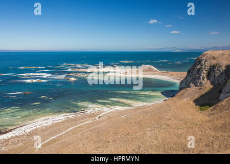 Kaikoura, Canterbury, Nuova Zelanda. Clifftop vista sulla baia di Whalers dalla penisola di Kaikoura passerella. Foto Stock