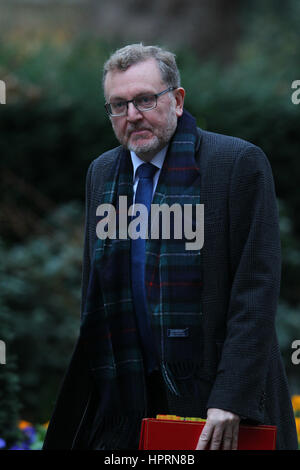 Londra - Feb 21, 2017: David Mundell MP il Segretario di Stato per la Scozia partecipa a una riunione del gabinetto di Downing street su 21, Feb, 2017 a Londra Foto Stock