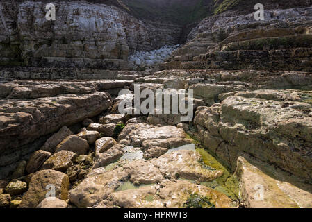 Geologia alla Thornwick nab, Thornwick bay, Flamborough, North Yorkshire. Una zona di drammatiche scogliere rocciose. Foto Stock