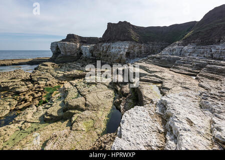 Coste rocciose a Thornwick bay, Flamborough Head, North Yorkshire. Mozzafiato caratteristiche geologiche intorno Thornwick nab. Foto Stock