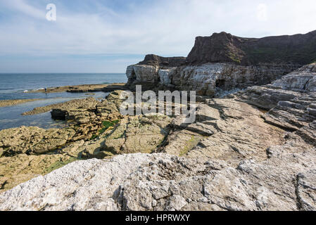 Coste rocciose a Thornwick bay, Flamborough Head, North Yorkshire. Mozzafiato caratteristiche geologiche intorno Thornwick nab. Foto Stock