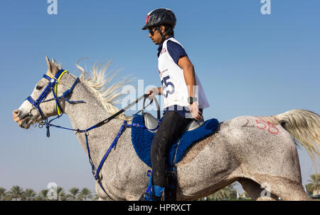 Dubai, Emirati Arabi Uniti - 19 DIC 2014: pilota e il suo cavallo che partecipano in un deserto gara endurance. Foto Stock