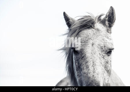 Grigio casa visto sulla testa Foto Stock