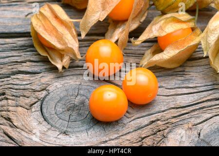 Physalis su legno vecchio tavolo Foto Stock