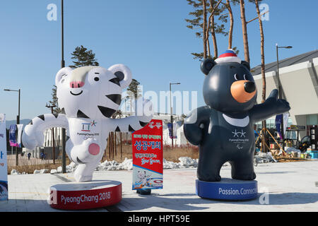 , 11 febbraio 2016 : a Gangneung Olympic Park in Gangneung, Corea del Sud. Credito: YUTAKA AFLO/sport/Alamy Live News Foto Stock