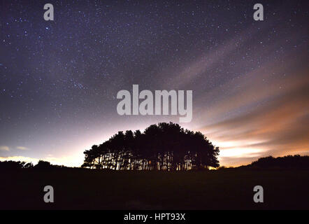 Ashdown Forest, East Sussex, Regno Unito. Il 23 febbraio 2017. Meteo. Stelle fuori in vigore oltre il grumo di amici, Ashdown Forest, Sussex, dopo tempesta Doris passata attraverso. Credito: Peter Cripps/Alamy Live News Foto Stock