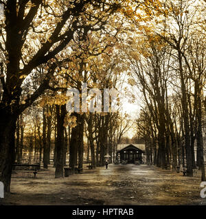 Autunno a Parigi. donna con ombrello a piedi dal Giardino del Lussemburgo a Parigi Foto Stock