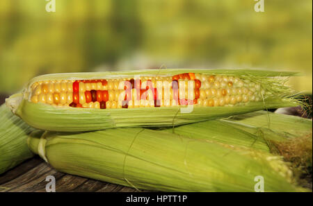 cibo OGM Foto Stock