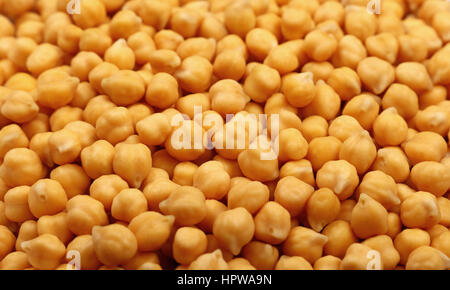 Cucinato imbevuto di ceci fagioli legume (Cicer arietinum) close up del modello di sfondo, ad alto angolo di visione Foto Stock