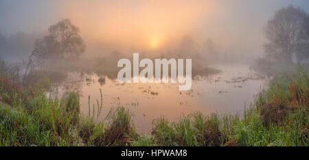 Mattina sulla palude con sole risplende attraverso la nebbia Foto Stock