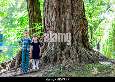 Piccolo Ragazzo e ragazza del fratello e sorella in piedi accanto a un grosso tronco di un vecchio albero. Dei bambini felici giocando nel bellissimo parco estivo sul giorno caldo e soleggiato. Foto Stock