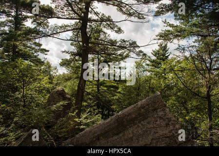 Mohonk preservare in estate Foto Stock