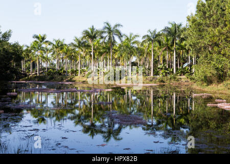 Abbandonato il parco acquatico in tinta, Vietnam Foto Stock